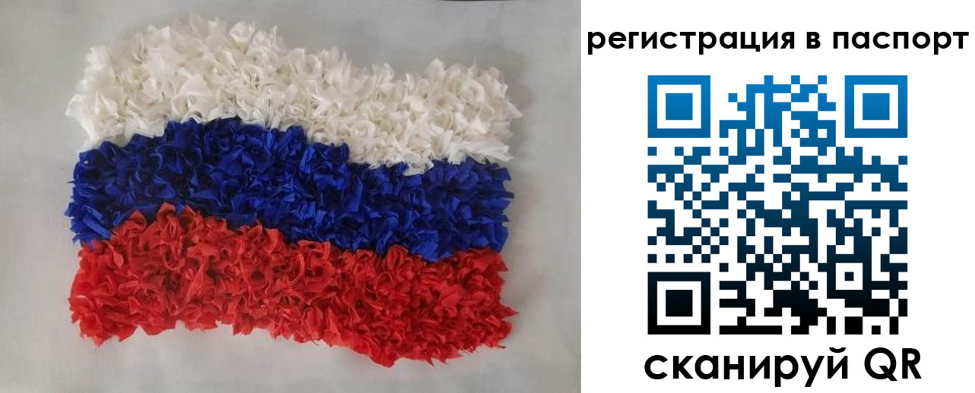 прописка регистрация в Архангельской области